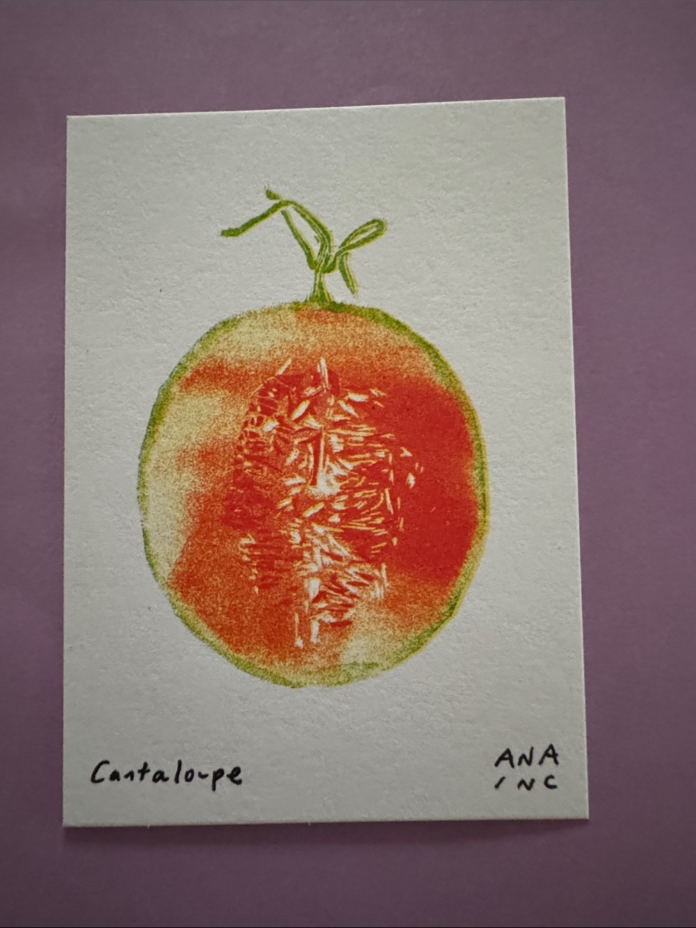Anastasia Inciardi Mini Prints Canteloupe Print